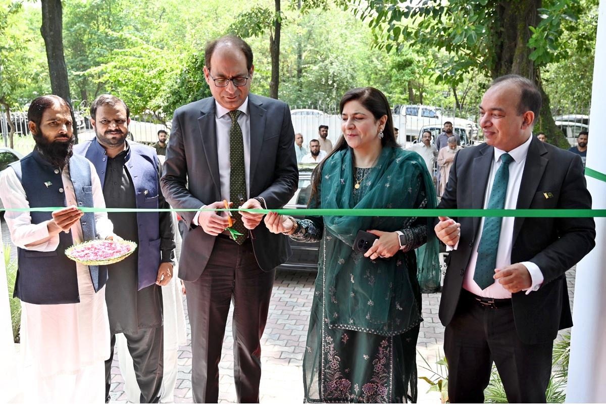 DEMP organizes painting competition to mark Pakistan’s 80th independence anniversary