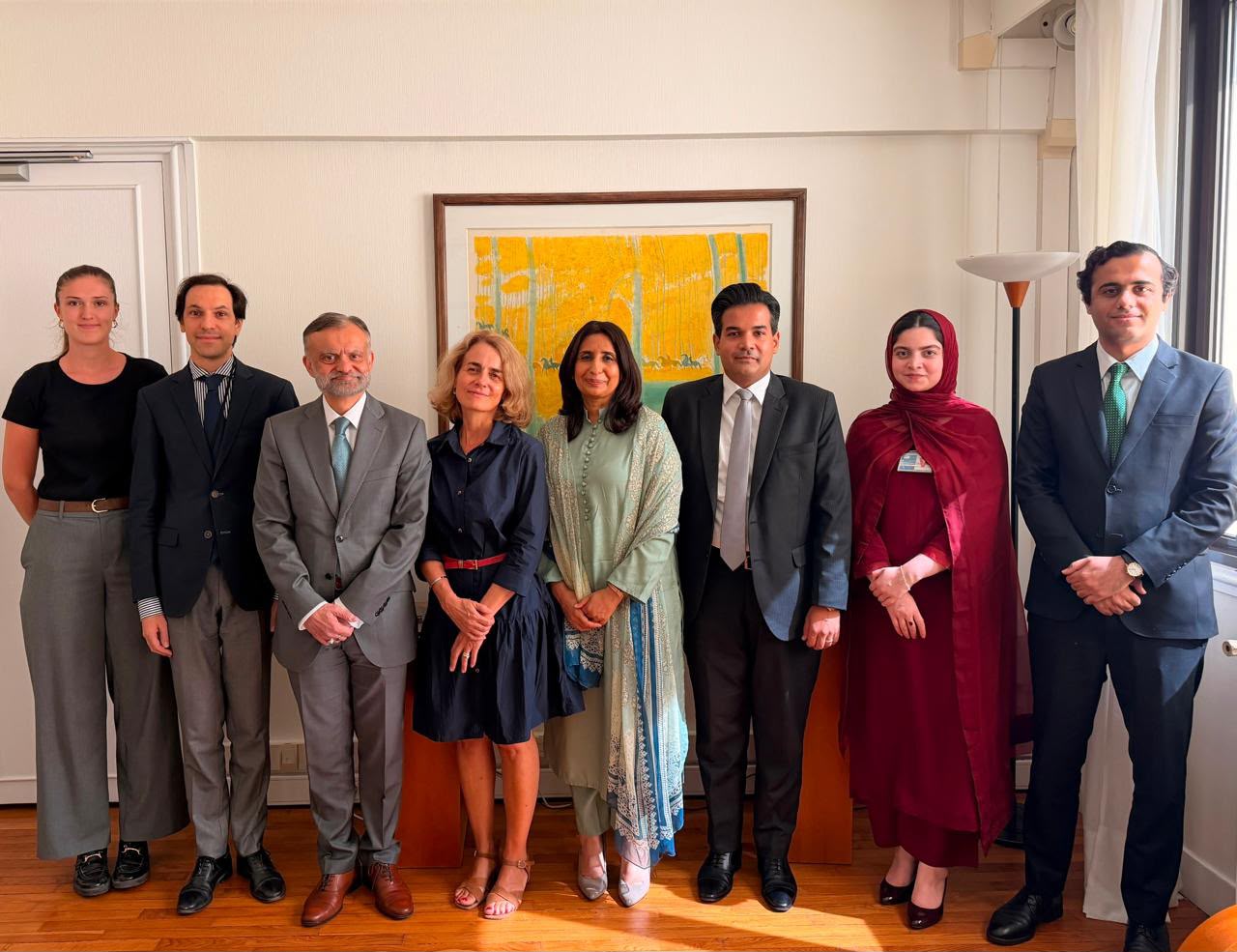 Pakistan, France hold consultations on multilateral affairs