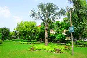 Parks authority continues beautification of Rawalpindi parks