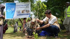 Tree plantation campaign held at Allama Iqbal Park