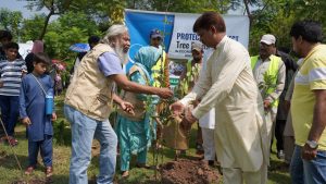 Tree plantation campaign held at Allama Iqbal Park