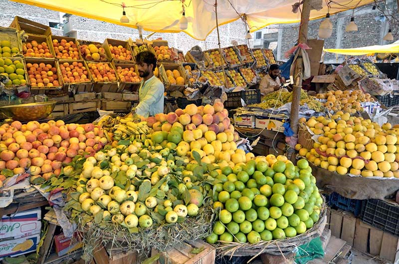 A vendor arranging and displaying seasonal fruits to attract the customers at his setup along Khana Pul