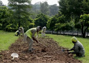 CDA workers prepare and till the soil along the lush green roadside greenbelt along Expressway