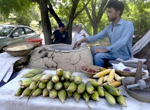 A roadside vendor roasts corn cobs, peanuts and black chickpeas for customers near PID in the federal capital.