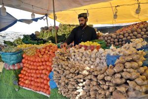 A vendor arranging and displaying seasonal fruits to attract the customers at his setup along Khana Pul