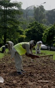 CDA workers prepare and till the soil along the lush green roadside greenbelt along Expressway