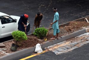 Workers are busy planting saplings on the green belt during the development project of Park Road Underpass in the Federal Capital.