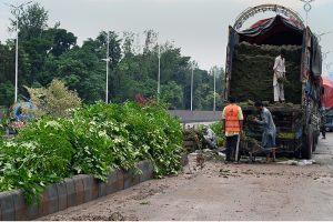 Workers are busy planting saplings on the green belt during the development project of Park Road Underpass in the Federal Capital.