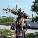 A nomadic woman carries a bundle of firewood on her head after collecting it for domestic use, including cooking