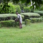 A CDA worker is busy trimming plants with machinery to shape and beautify the green area at Zero Point