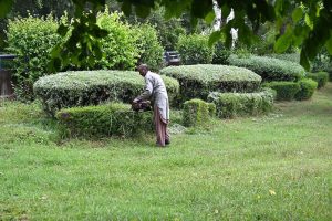 A CDA worker is busy trimming plants with machinery to shape and beautify the green area at Zero Point