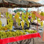 A vendor arranges fresh green grapes at a roadside stall to attract customers at a local market