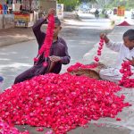 Young vendors prepare red rose garlands along the roadside to attract customers