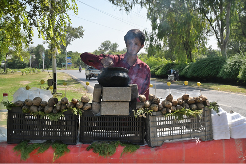 A vendor selling Sweet potatoes at his roadside setup in the Federal Capital