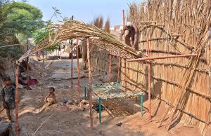 A gypsy man builds a makeshift shelter from reeds and wooden poles along a roadside.