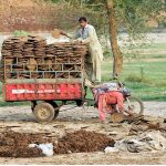 A family loads dried cow dung cakes onto a motorcycle loader rickshaw for transportation and sale as fuel for household cooking