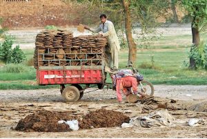 A family loads dried cow dung cakes onto a motorcycle loader rickshaw for transportation and sale as fuel for household cooking