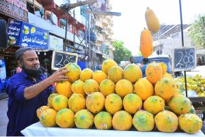 A vendor displaying the papaya to attract the customers on hand cart.
