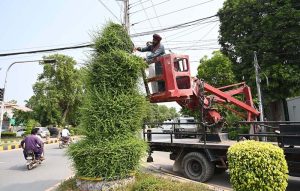 Cantonment Board worker trimming plants at Club Chowk.