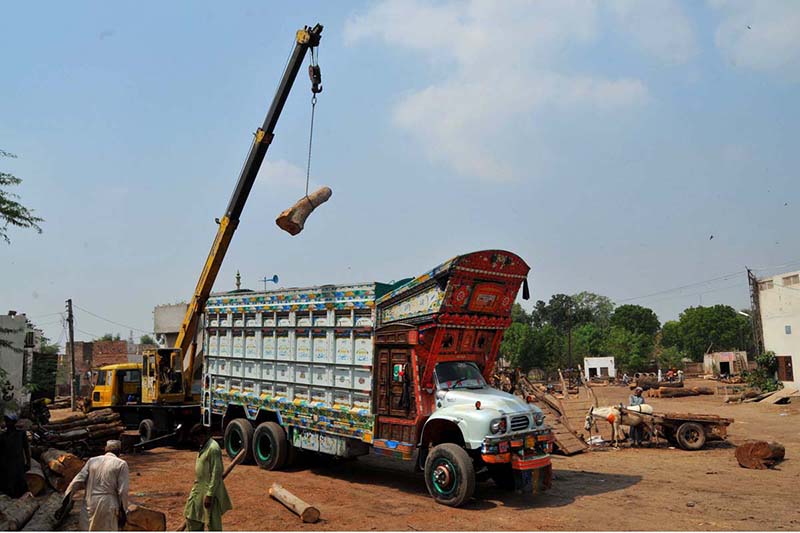 A crane being used to load a log onto a truck at Timber Market