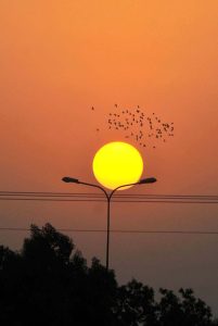 A group of youngsters playing cricket in an open field as in the background an attractive view of sunset over the sky.