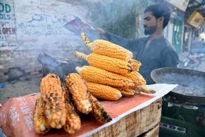 A vendor sells roasted corn to attract customers at Sachal Colony Road.