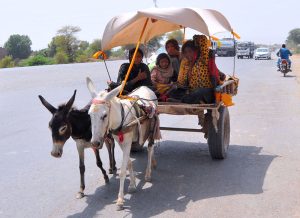 A family travels in a traditional donkey-drawn cart along a main road on the outskirts of the city, seeking shade under a makeshift canopy amid hot weather.