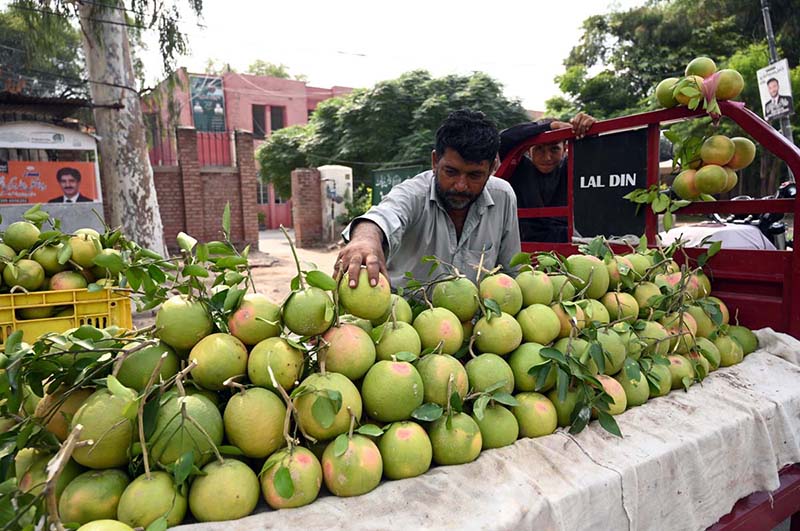 A vendor sells seasonal fruit (chakotra) along Chahry Road