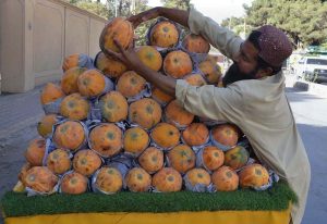 A vendor displays papaya fruit on his cart along roadside .