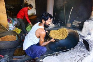 Workers are busy roasting grams at his workplace.