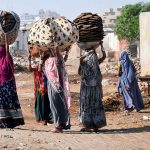 Villager women carry loads of dung cakes for domestic use in Tando Yousuf
