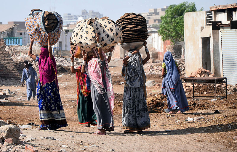 Villager women carry loads of dung cakes for domestic use in Tando Yousuf