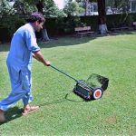 A gardener is busy cutting the grass with help of machine in the lawn