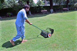 A gardener is busy cutting the grass with help of machine in the lawn