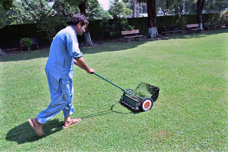 A gardener is busy cutting the grass with help of machine in the lawn