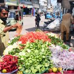 A handcart vendor displays fresh salad to attract customers along Saddar Road