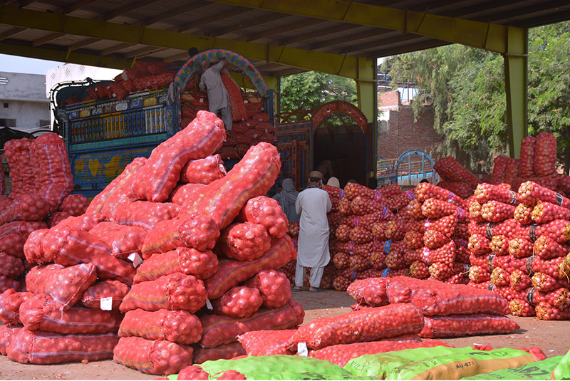Labourers unload heavy sacks of onions from a delivery truck at the city’s vegetable market, reflecting the hectic activity involved in the daily supply of fresh produce