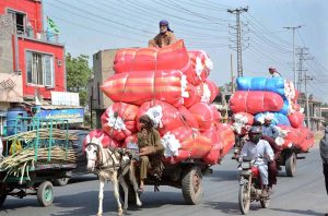 An overloaded donkey cart moves along a busy road with a labourer sitting atop the load, posing a serious road-safety hazard and risking a mishap, highlighting the need for effective enforcement.