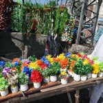 A vendor displaying artificial flower pots to attract customers on his cart along roadside