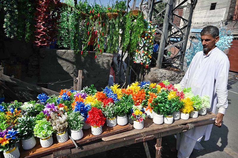 A vendor displaying artificial flower pots to attract customers on his cart along roadside
