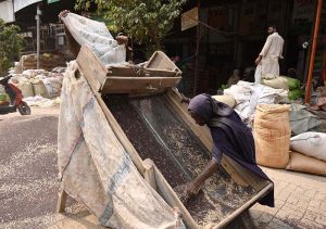 A labourer cleans mustard seeds at the Grain Market