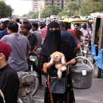 A woman sells a Persian cat kitten at the Saddar Bird Market in the Provincial capital
