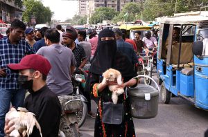 A woman sells a Persian cat kitten at the Saddar Bird Market in the Provincial capital