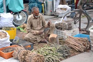 An elderly vendor busy making traditional toothbrush “Miswak” at Clock Tower Chowk to earn livelihood for his family