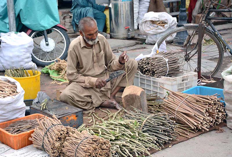 An elderly vendor busy making traditional toothbrush “Miswak” at Clock Tower Chowk to earn livelihood for his family