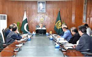 Federal Minister for Law and Justice Senator Azam Nazeer Tarar chairs a meeting of the Committee on Passport Rules. Officials from the Ministry of Interior, Ministry of Foreign Affairs, Passport Department and other relevant authorities are also present.