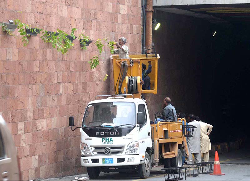 PHA workers place pots of plants on wall of Shadman Underpass as part of efforts to beautify the provincial capital