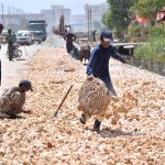 Labourers are busy their work during road construction as part of development work at Autobahn Road