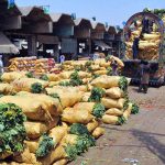 Labourers unload sacks of fresh leafy vegetables at a bustling vegetable market, highlighting the hectic activity of produce trade