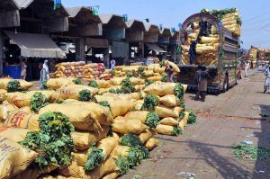 Labourers unload sacks of fresh leafy vegetables at a bustling vegetable market, highlighting the hectic activity of produce trade